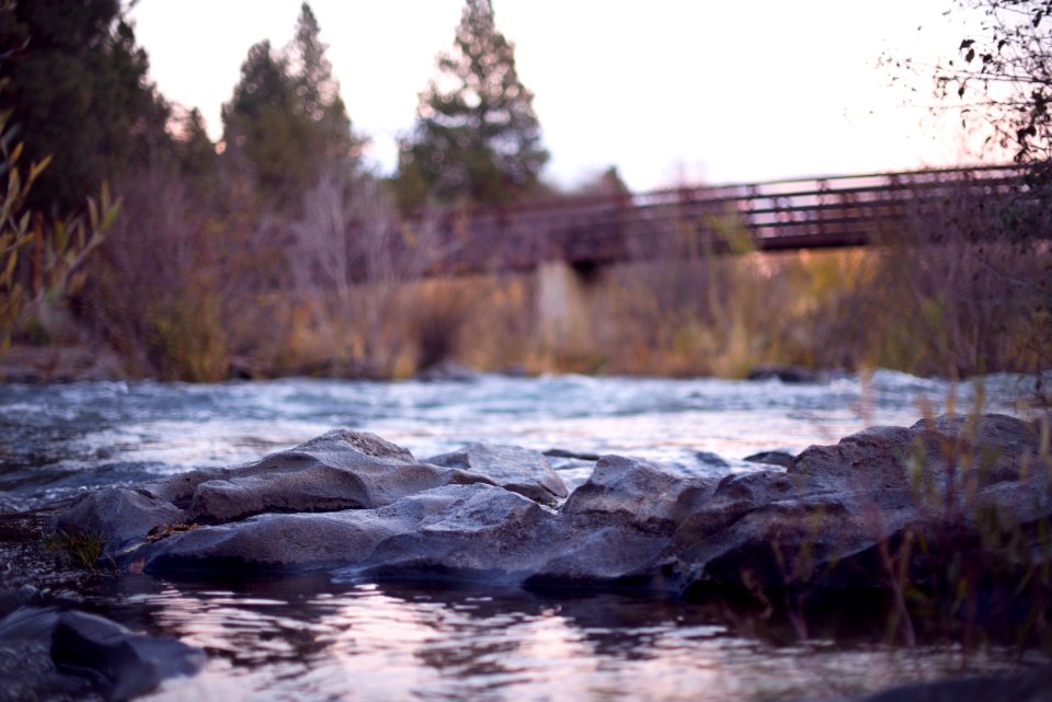 body of water near bridge during daytime photo