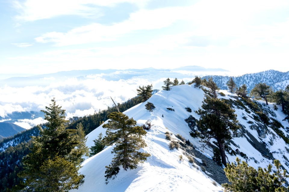 Mount baldy, United states, Winter