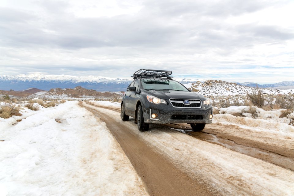 Trees, Subaru, Adventure