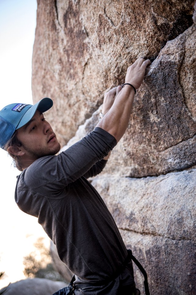 National parks, Joshua tree, Parks