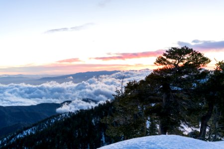 Mount baldy, United states, Nature