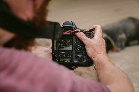 person holding black camera taking photo of animal photo