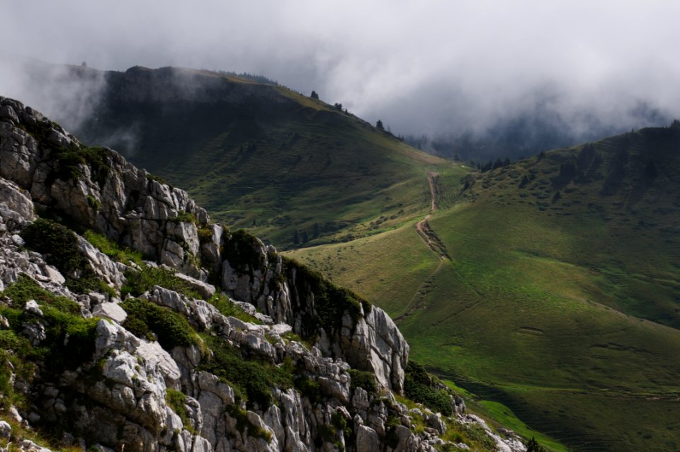 gray mountain alps