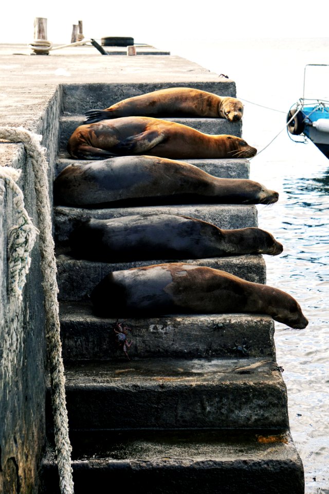 Floreana Island, Ecuador, Sleeping