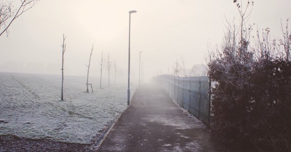 Fog, Mist, Frost photo