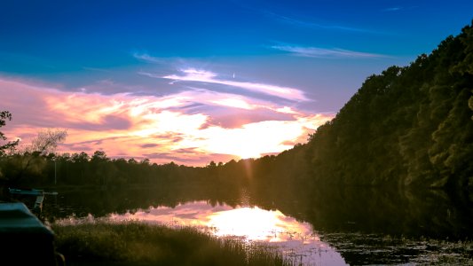 Louisiana, United states, Swamp