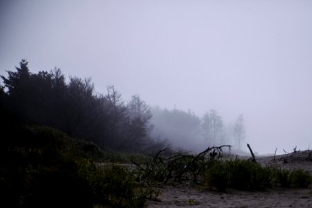 Scape, Overcast, Gloomy photo
