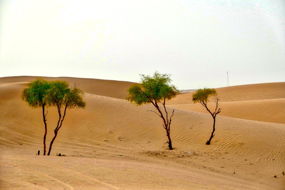 Abu dhabi, United arab emirates