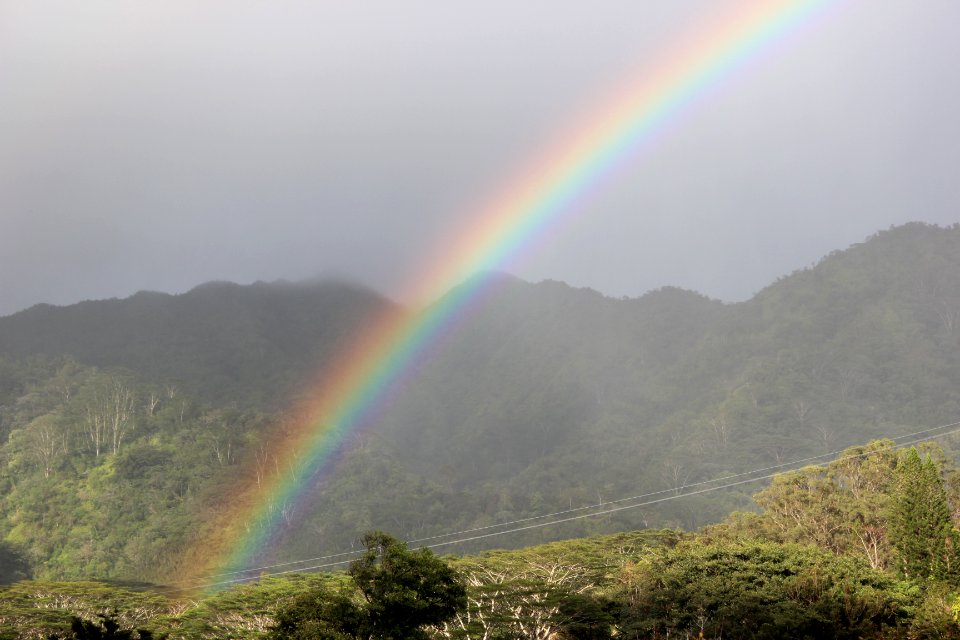 M noa, Honolulu, United states