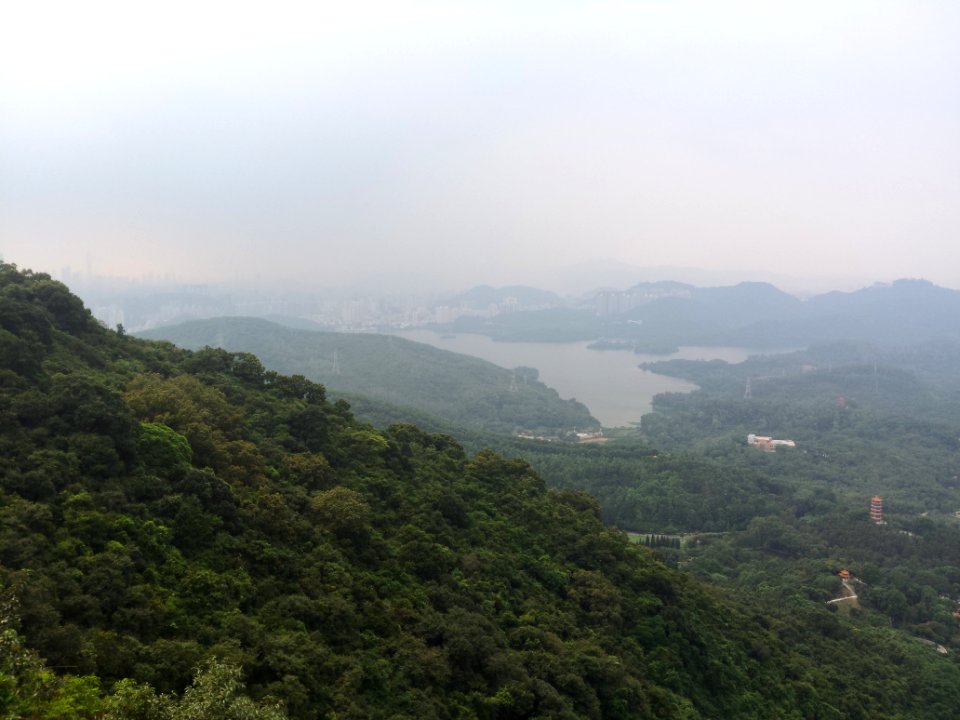 Zi wei lu, Luohu qu, Shenzhen shi