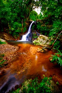 Ecuador, Pinas, Selva tropical