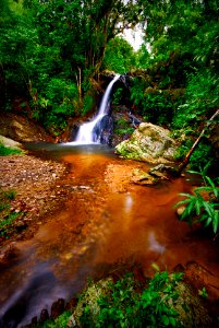 Ecuador, Pinas, Selva tropical photo