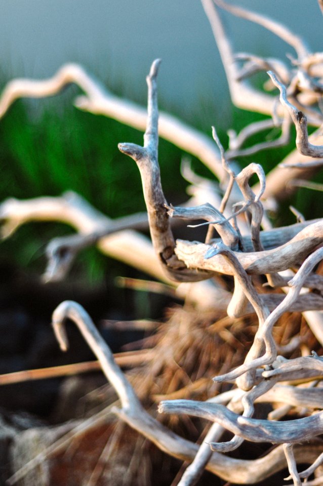 Tangled, Twisted, Outside