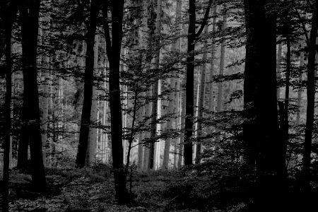 Ernz noireschw, Befort, Luxembourg