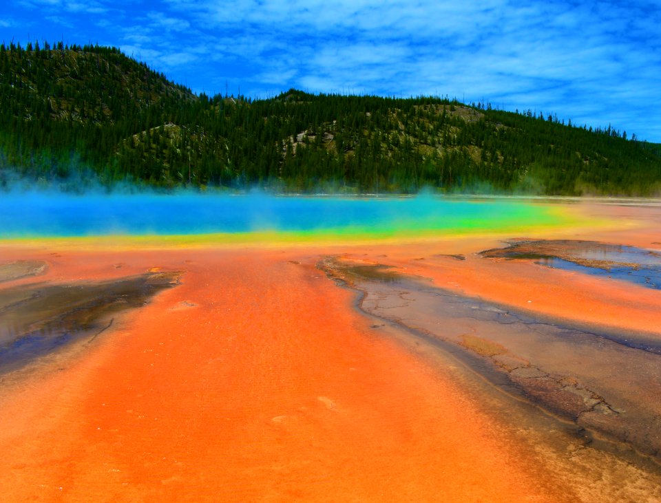 Yellowstone national park, United states, Bacteria
