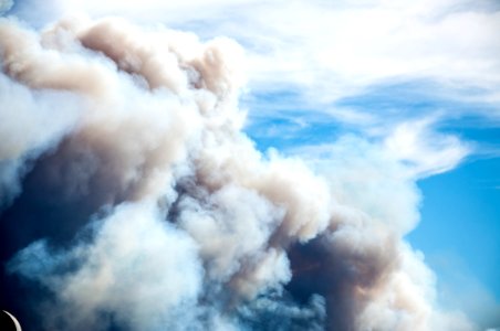 Wildfire