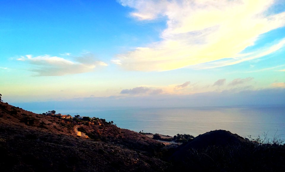 Topanga, United states, Forest