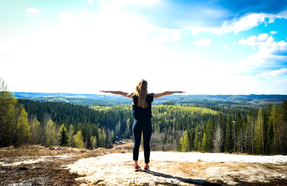 Jyv skyl , Finland, Forest photo