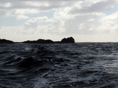 Tasman sea photo