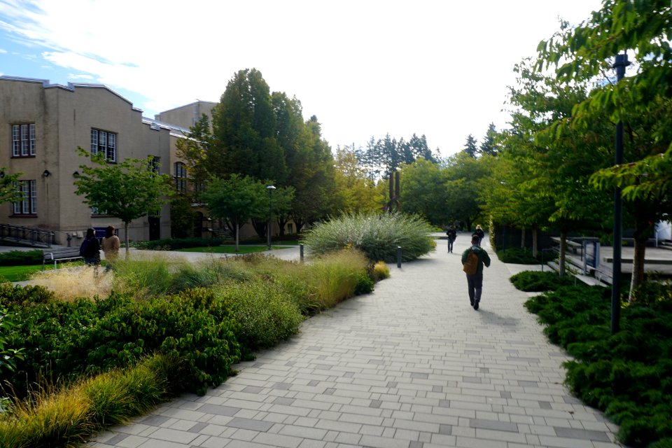 Lanscape, Canada, University