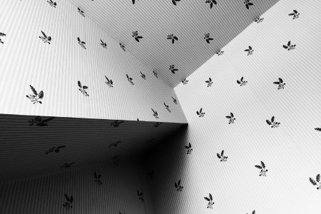 Charlottesville, Interior design, Wall paper