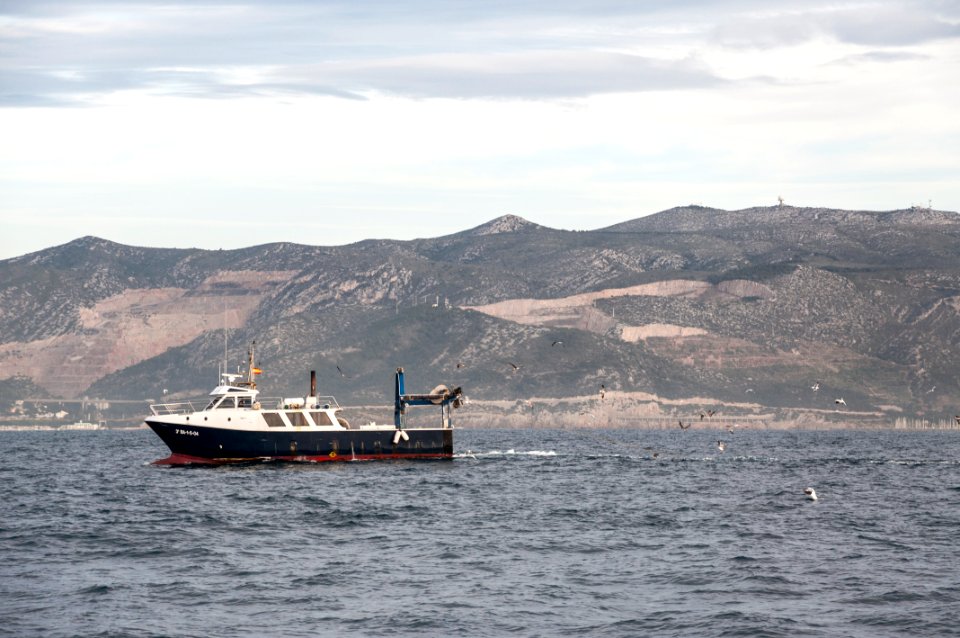 Barcelona, Spain, Boat photo