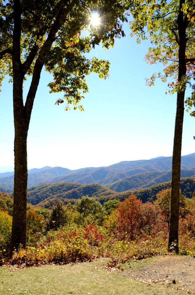 North carolina, United states, Roadside