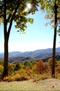 North carolina, United states, Roadside