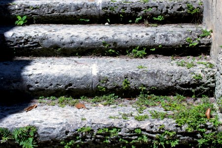 Vizcaya museum  gardens, Miami, United states