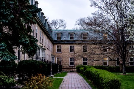 bare tree near 3-storey building