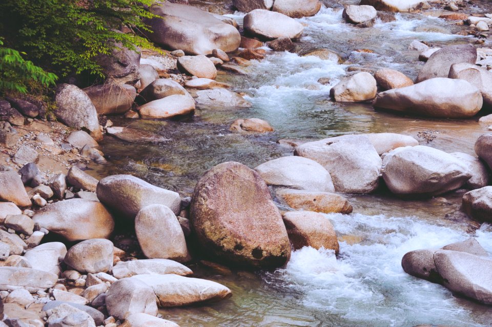 Nature, Stream, River