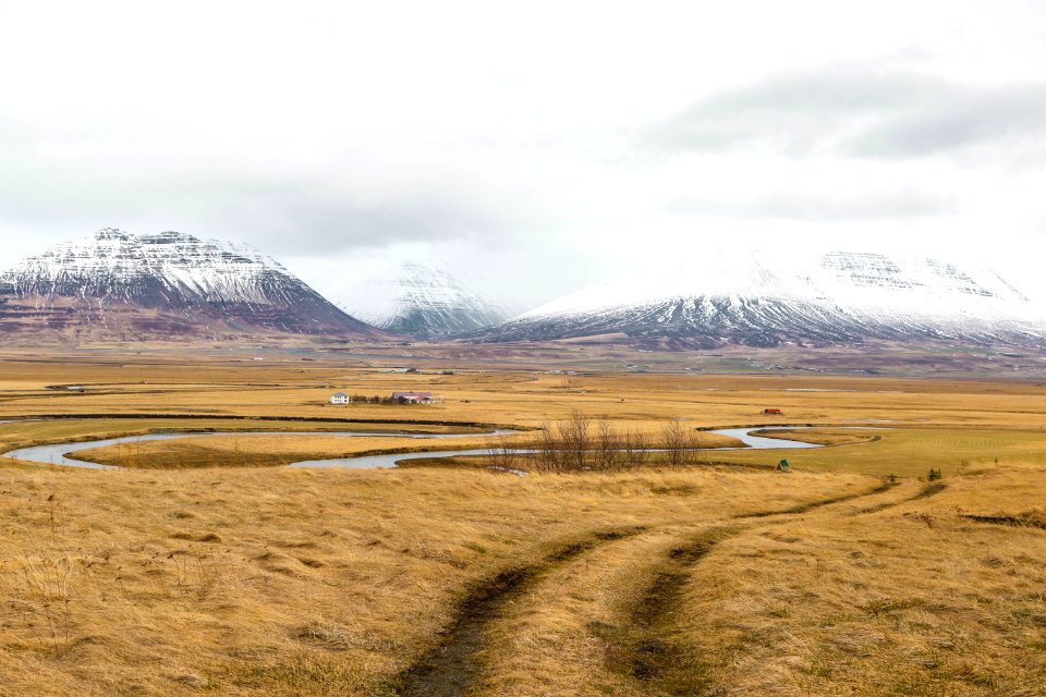 landscape photo of field of grass in front of mountain alps