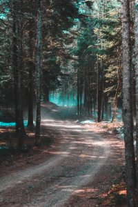 White mountains, Lincoln, United states
