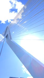 Erasmusbrug, Rotterdam, Netherl photo