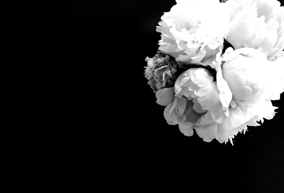 Background, White, Black