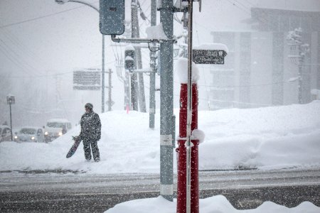 photo of man standing while holding board near road photo