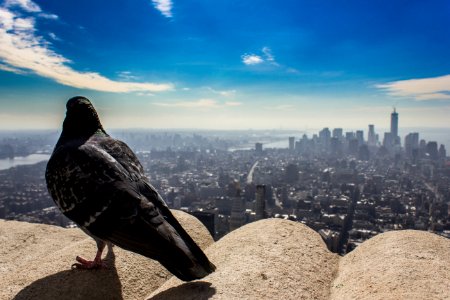 New york, Empire state building, United states
