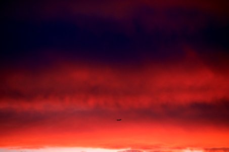 Cloud, Airplane, Sunset