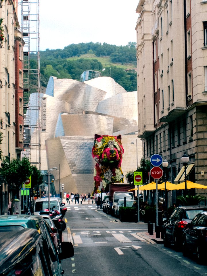 Spain, Dog, Guggenheim museum bilbao