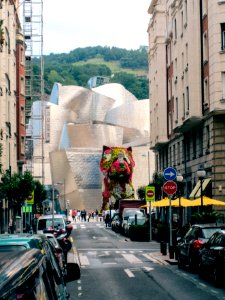 Spain, Dog, Guggenheim museum bilbao photo