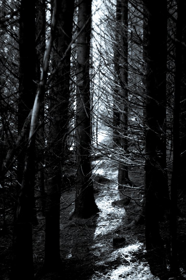 Glendalough, Ireland, Cold