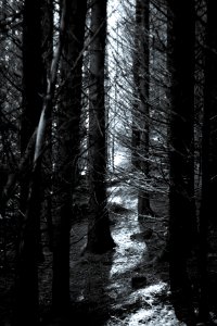 Glendalough, Ireland, Cold