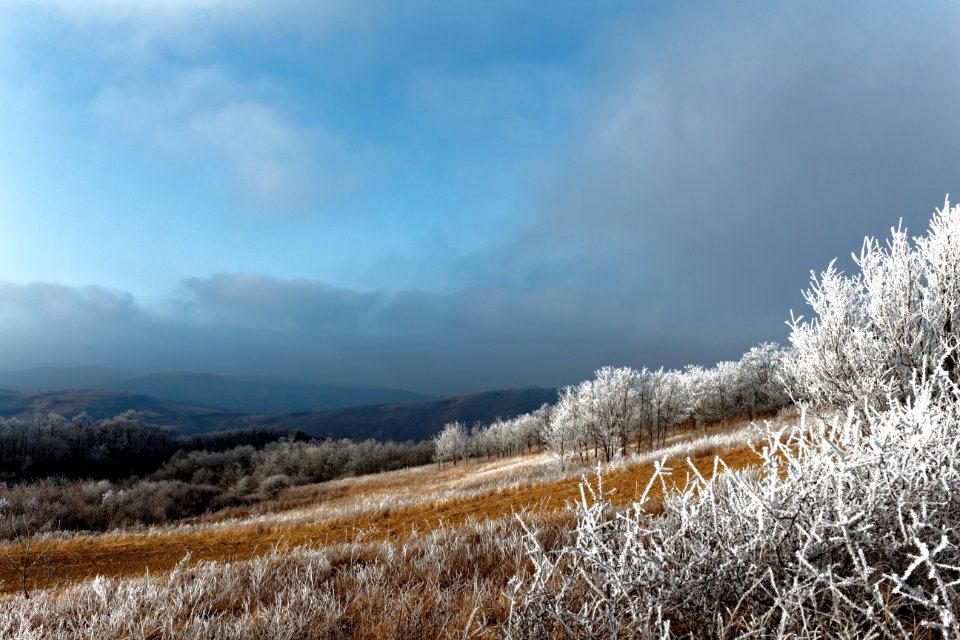 Fru ka gora, Frost, Winter