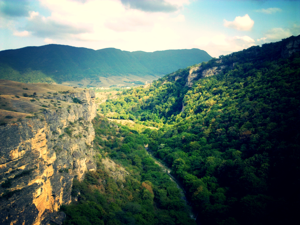 Mountain range, Mountain, Forest
