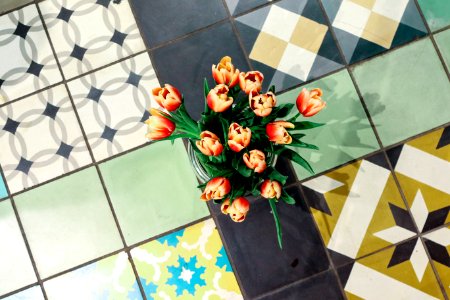 Hipster, Flowers, Tiles photo