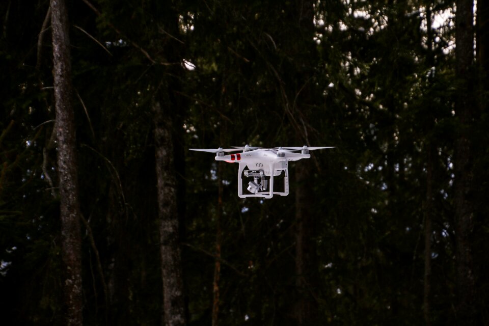 Aerial view flying nature