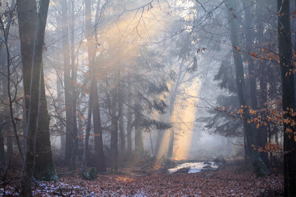 Mood landscape nature