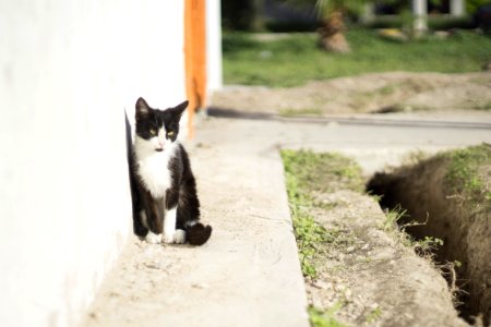 Mexico, Piedras negras, Cute
