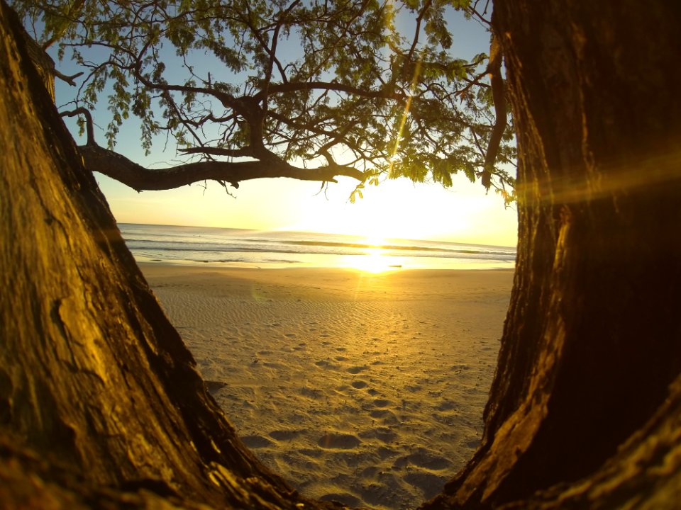 Nature, Wallpaper, Sun