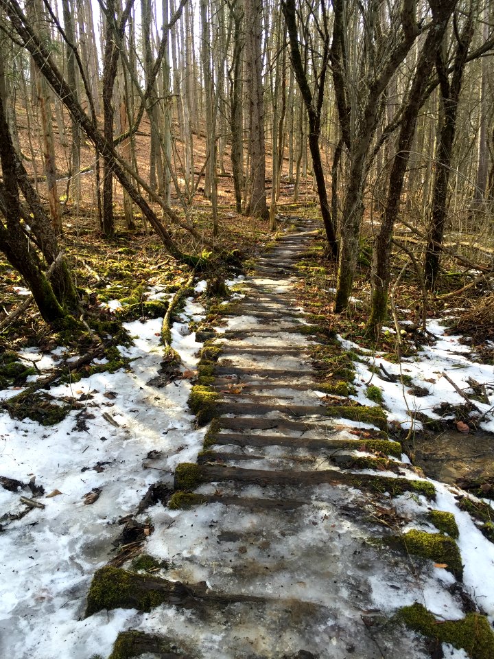 Gully road, Marcellus, United states